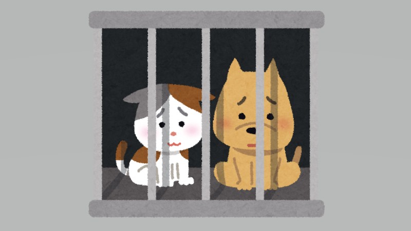 犬の殺処分数ワースト1位に衝撃　香川の小…