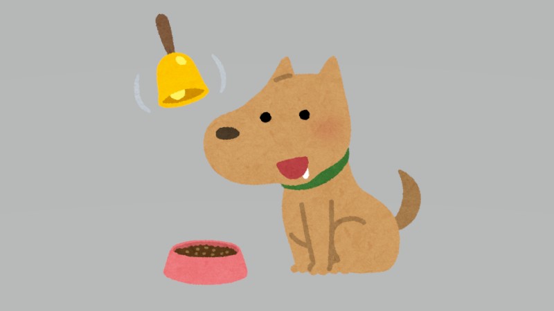 滋賀で脱走大型犬を無事保護　プロット・ハ…