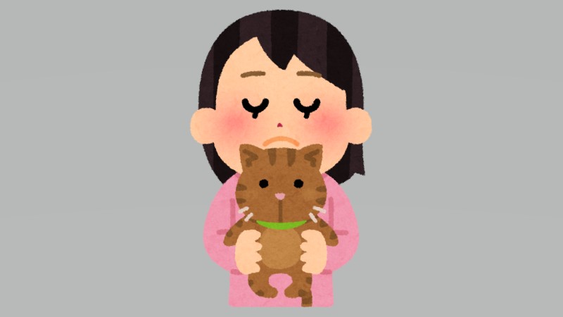 猫吸いは癒し？猫と過ごす“ふれあい”は科…