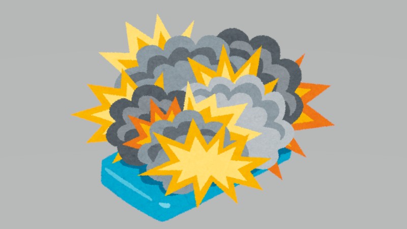 【要注意】リチウムイオン×ペット…