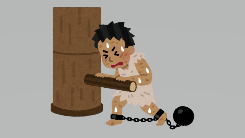 ペットも就職！？中国で進む“働く犬猫”事…