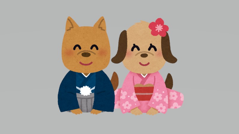 愛犬に振袖→「成人式？七五三？」ツッコミ…