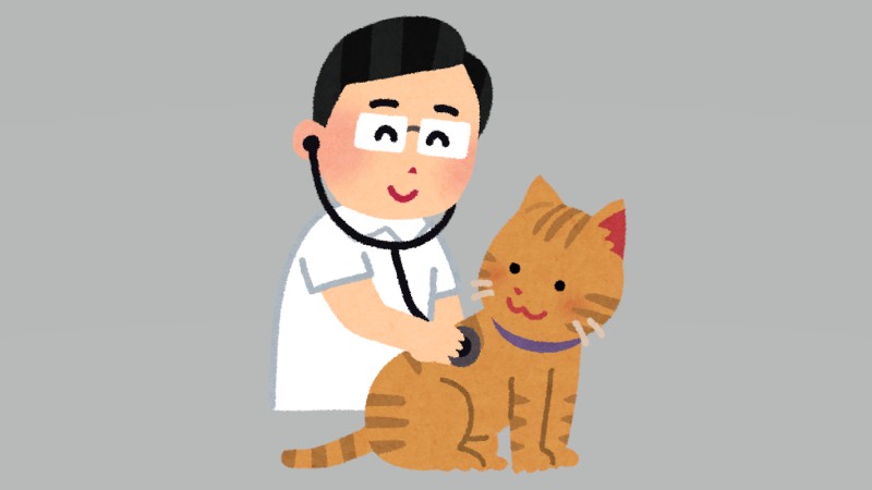 獣医師ってどんな仕事て？…