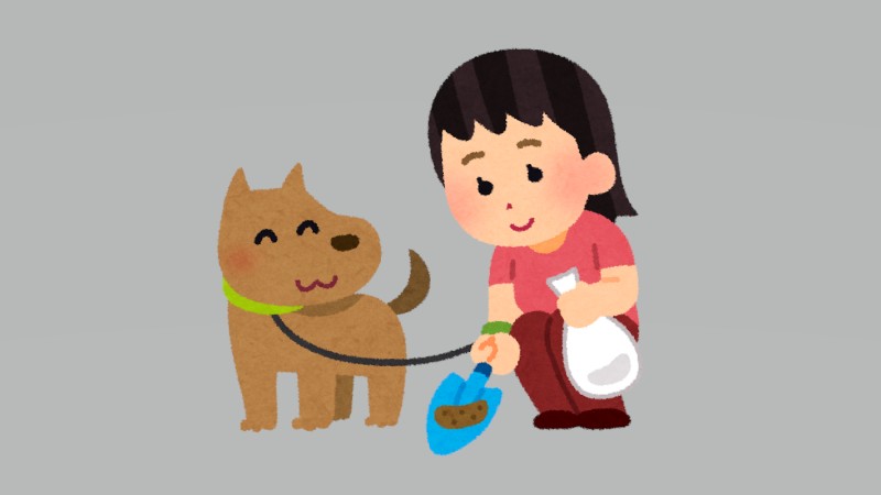 犬のうんちに触れず処理できるキャッチャー…