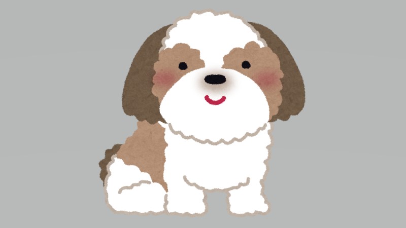 シーズー大集合！犬種特化イベント始動…