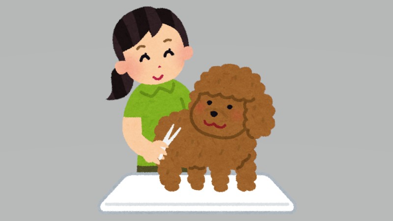 トリミングを断られた子にも希望　福島・伊…