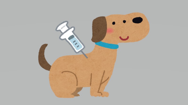 狂犬病…予防接種はお済ですか？…