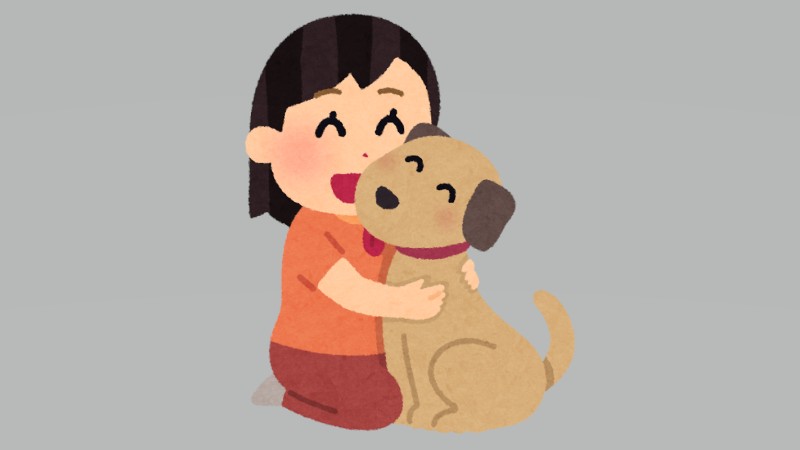 柴犬の「ツンデレ」