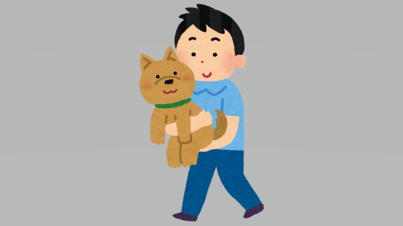 抱っこバッグ｜愛犬との外出を強力にサポー…