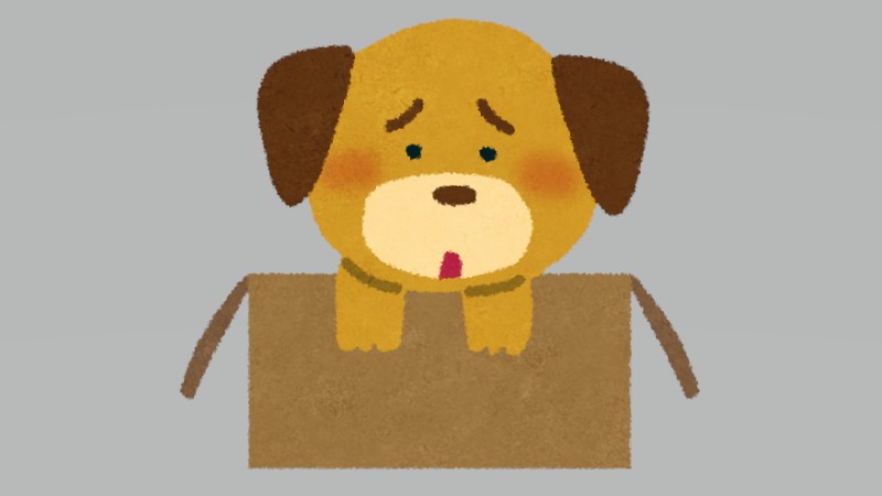 飼い犬を河川敷に投棄